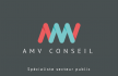 Logo de AMV CONSEIL