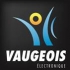 Logo de VAUGEOIS ELECTRONIQUE