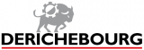 Logo de Derichebourg