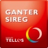 Logo de Ganter Syreg